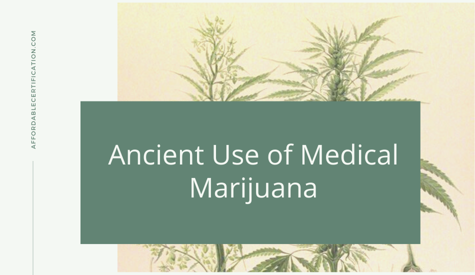 Ancient use of medical marijuana